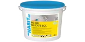 HASIT PE 228 SILICATE SOL